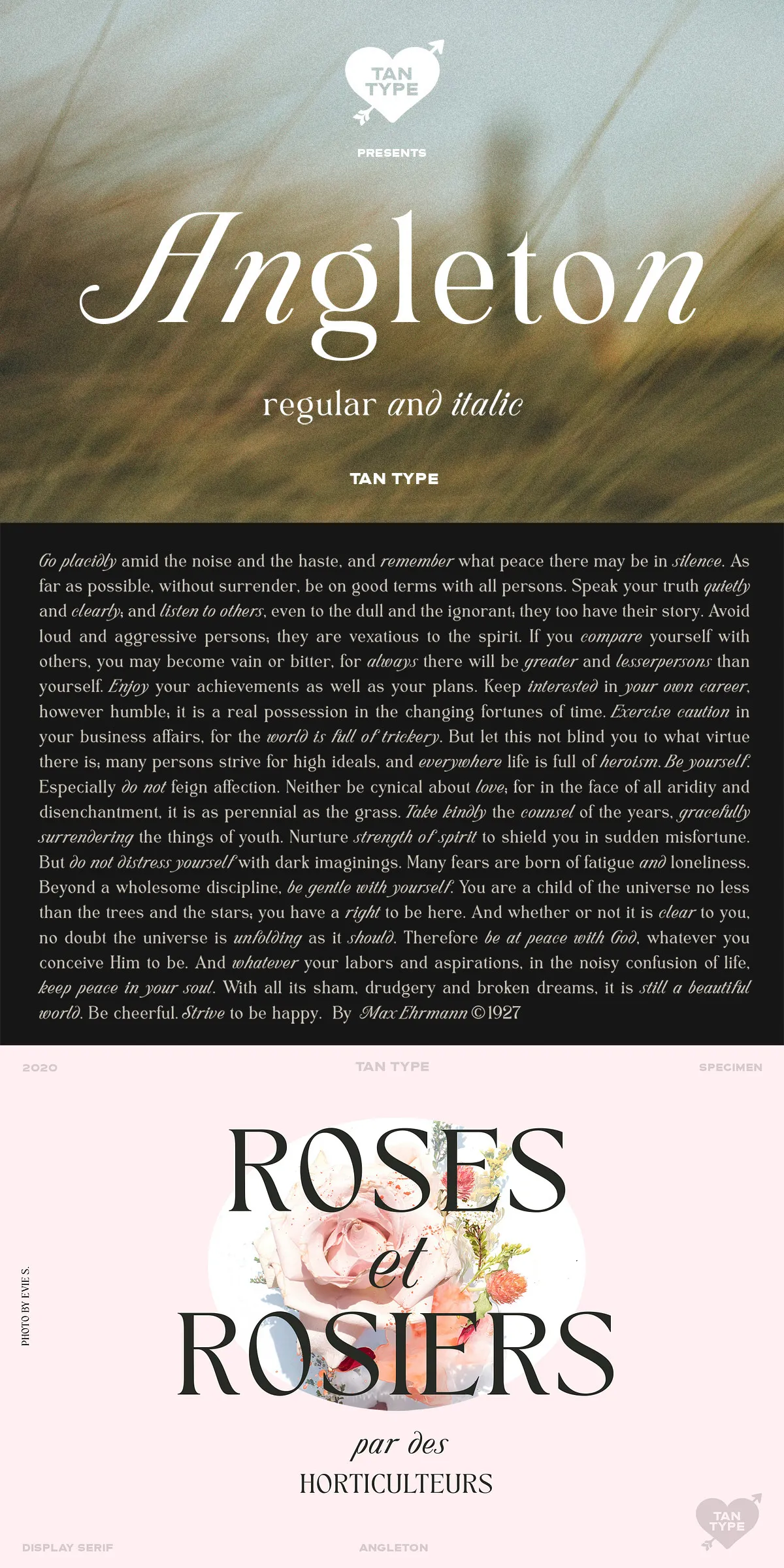 TAN - ANGLETON - Inkytype - Type Design Resources